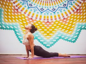 8 Days Surf & Wellness Camp in Tamarindo, Guanacaste