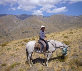5-Daagse Poqueira korte bergpaardrijvakantie in Alpujarra Granadina, Granada, Spanje - Photo 3