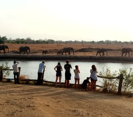 6 jours en stage de safari à Udzungwa, Ruaha et au parc national de Mikumi depuis Dar es Salaam, Tanzanie - Photo 2