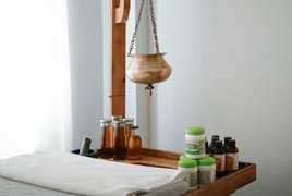Ayurveda Ausbildung Retreats und Reisen
