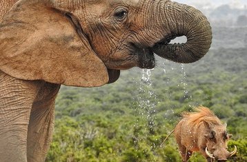 11 Tage Safari Tour von Kapstadt nach Johannesburg über die Wild Coast in Südafrika