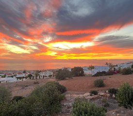 7 Day Find Inner Balance and Zest for Life at a Puppy Yoga Retreat in Cyprus - Photo 3