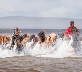5 Day Trail of Hope Autumn Adventure Horse Riding Holiday in the Northwestern Region, Iceland - Photo 4