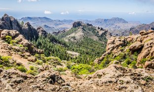 Gran Canaria Retreats & Trips