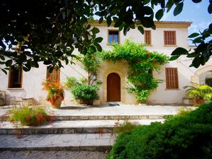 8 Tage - Eine Yogareise entlang der Chakras für Körper, Geist und Seele auf Mallorca, Spanien