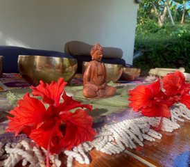 4 días de retiro de respiración consciente, flores de Bach y yoga en Puerto Viejo de Talamanca, Costa Rica - Photo 3