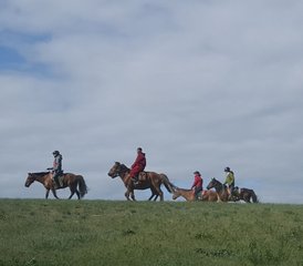 9 jours de randonnée équestre Express en Mongolie - Photo 2