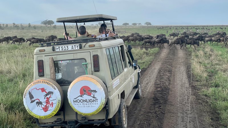 10 Day Kenya and Tanzania Untold Safari Stories