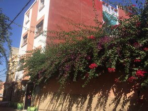 7 Days Surf Camp in Tamraght, Morocco