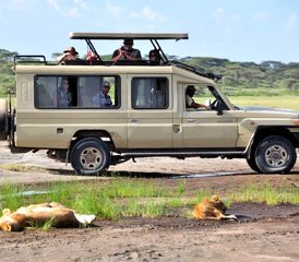 3 Day Tarangire, Manyara, and Crater Small Group Safari in Tanzania - Photo 5