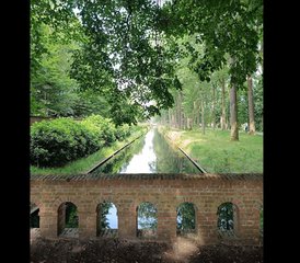 4-Daagse Yoga-, Relaxatie- en Wandelretraite in en rond de abdij van Westmalle, België - Photo 5