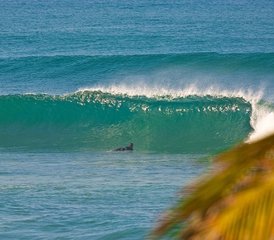 4 jours en stage de surf à Wewala, Hikkaduwa, Sri Lanka - Photo 5