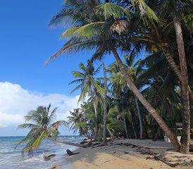 6 Tage Longevity Love Code Retreat im Karibischen Meer, Little Corn Island, Nicaragua - Photo 2