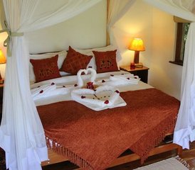 5 Tage Masai Mara, Nakurusee und Sweetwaters Safari in Kenia - Photo 4