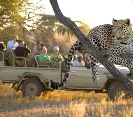 015 Tage Namibia Highlights Geführte Safari - Photo 1