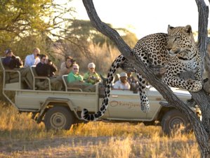 15 días de safari guiado por lo mejor de Namibia