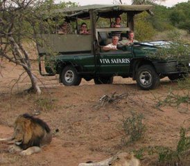 83 Day Ultra Budget Big-Five Safari in Kruger National Park, South Africa - Photo 1
