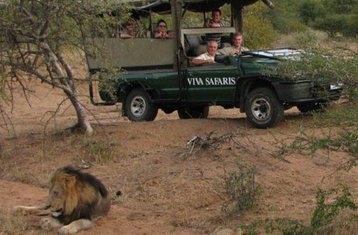 3 días de safari económico de los Cinco Grandes en el Parque Nacional Kruger, Sudáfrica