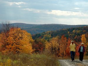 5 Days Silent Meditation and Yoga Retreat in New York