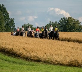 4 Day Exhilarating Horse Riding Holiday at Galiny Palace, Gmina Bartoszyce, Poland - Photo 5