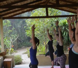 118 Day The Food Forest Project and Karma Yoga Holiday in Paksong, Thailand - Photo 1