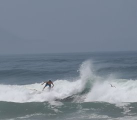 7 días de viaje privado y campamento de surf para principiantes en Punta Hermosa, Lima, Perú - Photo 3