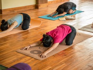 29 Day 300-hour Multi-Style Yoga Teacher Training in Rishikesh, India