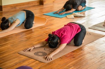 29 Tage 300-Stunden Multi-Style Yogalehrer Ausbildung in Rishikesh, Indien