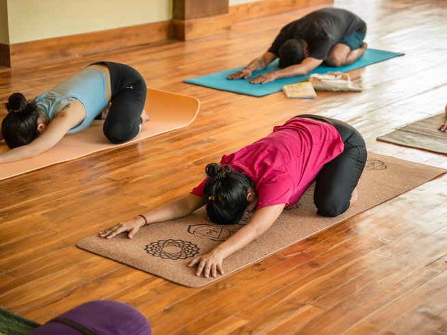 29 Day 300-hour Multi-style Yoga Teacher Training in Rishikesh