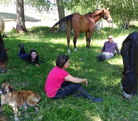 5 Day Gerês Wolf and Wild Horse Territory Horse Riding Holiday in Castro Laboreiro, Portugal - Photo 5