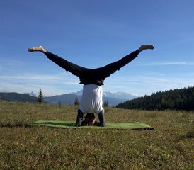 21 Tage 200-Stunden Hatha Yoga Lehrerausbildung in einem Ashram in Südschweden mit indischem Yogalehrer - Photo 5