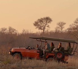 7 días de retiro de yoga y safari del alma en Sudáfrica con safaris de los Cinco Grandes y encuentros con animales - Photo 4