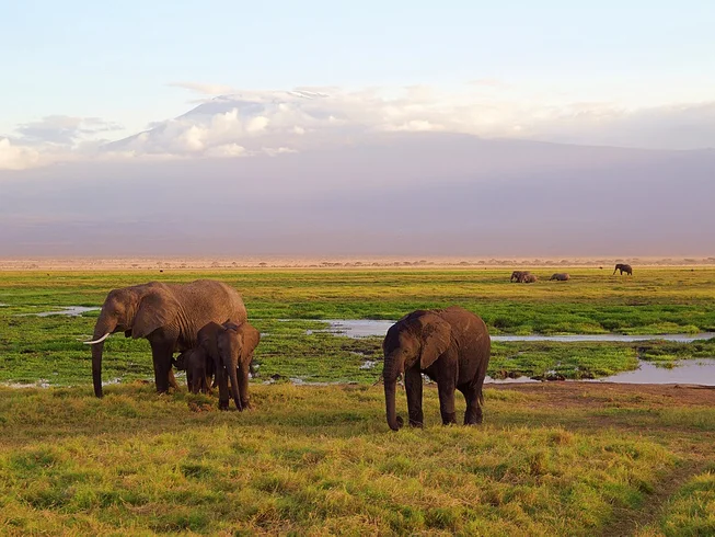 22 Day Kilimajaro Guided Motorcycle Tour in Uganda, Rwanda, Tanzania, and Kenya photo 3