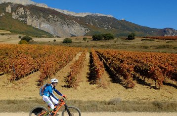 8-Daagse Zelfgeleide Fietstocht door Dominio de Rioja: Logroño, Laguardia en Ezcaray in Spanje
