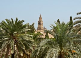 Cordoba Retreats & Trips