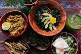 Ayurveda Detox Retreats und Reisen