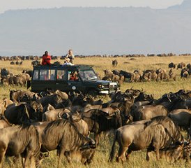 3-Daagse Tarangire National Park Wildlife Safari in Tanzania - Photo 4