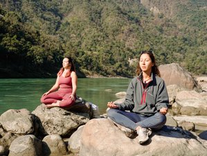 29 Tage-300h in Hatha- und Vinyasa-Yogalehrer Ausbildung auf Französisch in Rishikesh, Indien