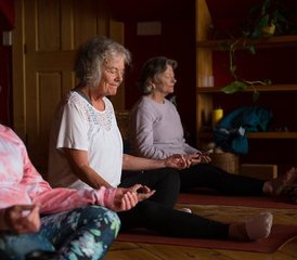 75-Daagse Landing Together Again Yoga- en Ayurveda De Retreat met Allie Chisholm-Smith in Ontario, Canada - Photo 1