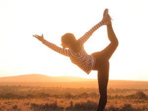 7 días de yoga para la naturaleza: conservación de Kenia y vacaciones de yoga en Ol Pejeta Conservancy