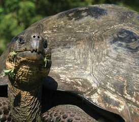 8 jours aventure nature, culture et faune entre l’Équateur continental et les îles Galápagos, Équateur - Photo 3