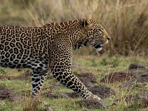 10 Day Kenya to Tanzania Budget Safari