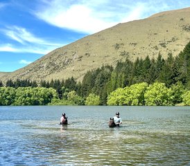4 jours en stage d’équitation en Nouvelle-Zélande : campez comme des cow-boys et terminez au bord d’un lac privé - Photo 3