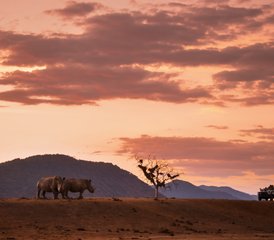 16-Daagse Kaapstad Tot Krugerpark En Lesotho, Een Safari Om De Verborgen Geheimen Van Zuid-Afrika Te Ontdekken - Photo 5