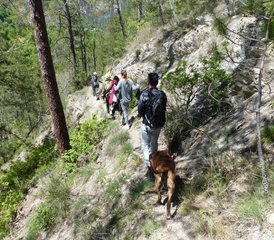 3 días de retiro de yoga y cocina basada en plantas en las montañas de la Riviera Francesa - Photo 3