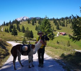 3 días retiro de yoga con cocina vegetariana en Schwaz, Austria - Photo 3