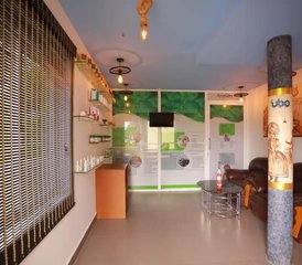  22 Day Rejuvenation with Ayurveda and Yoga Retreat in Munnar, Kerala, India - Photo 5