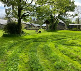4-Daagse Wild Heart Wellness Retreat voor Vrouwen in Kilkenny, Ierland - Photo 5