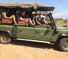 5 jours safari à Selous, parc national de Nyerere et Mikumi, Tanzanie - Photo 2