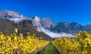Plessur Retraites en Reizen